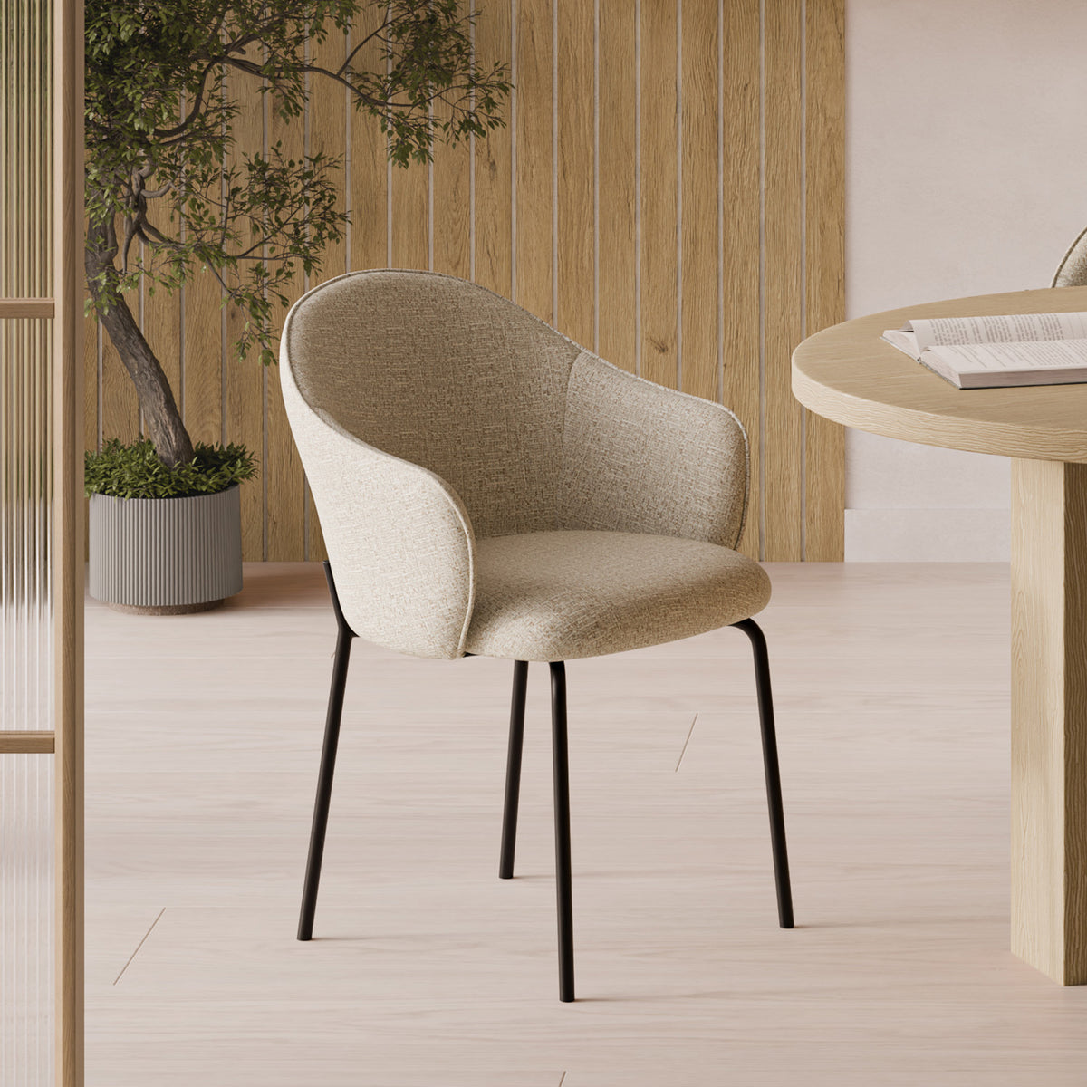 Silla Aster