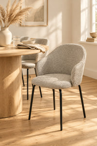 Silla Aster