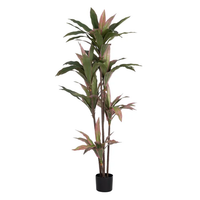 Planta Dracena 160cm.