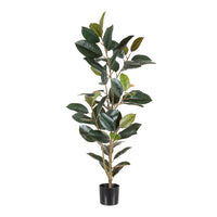 Planta Ficus 125cm.